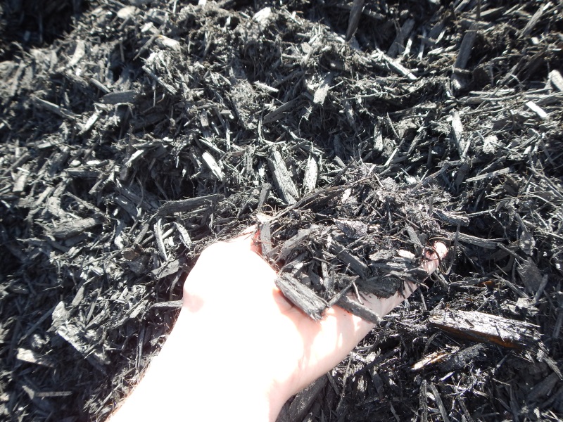 Black Wood Chips