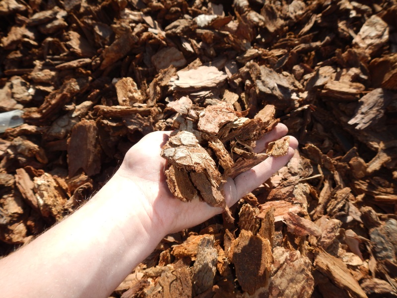 Medium Wood Chips