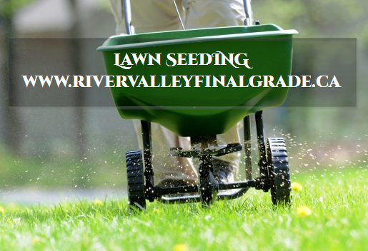 lawn_seeding_for_better_landscape