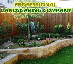 Landscape Company in Edmonton