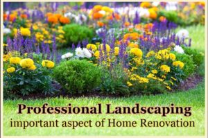 Professional Landscaper in Edmonton Alberta