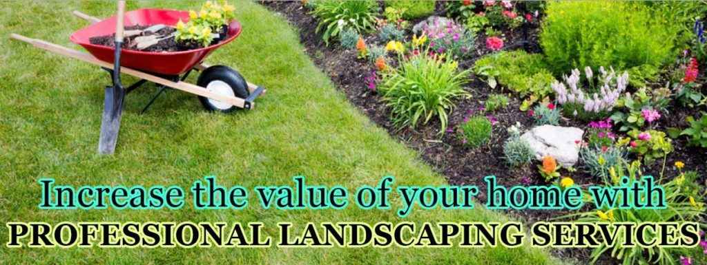 Professional Landscape in Edmonton