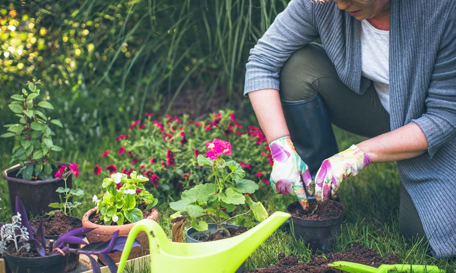 Your Landscaping Leads to Better Health