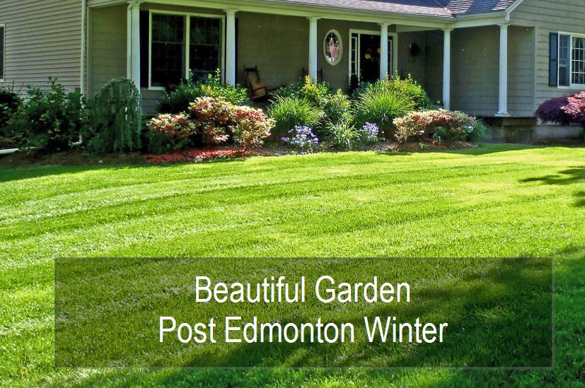 Beautiful Garden In Edmonton, Alberta