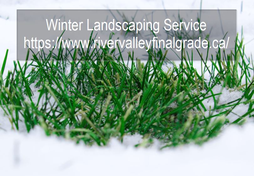 Should you hire a landscaping company in winter?