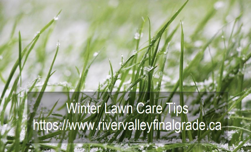 Edmonton Winter Lawn Care Tips