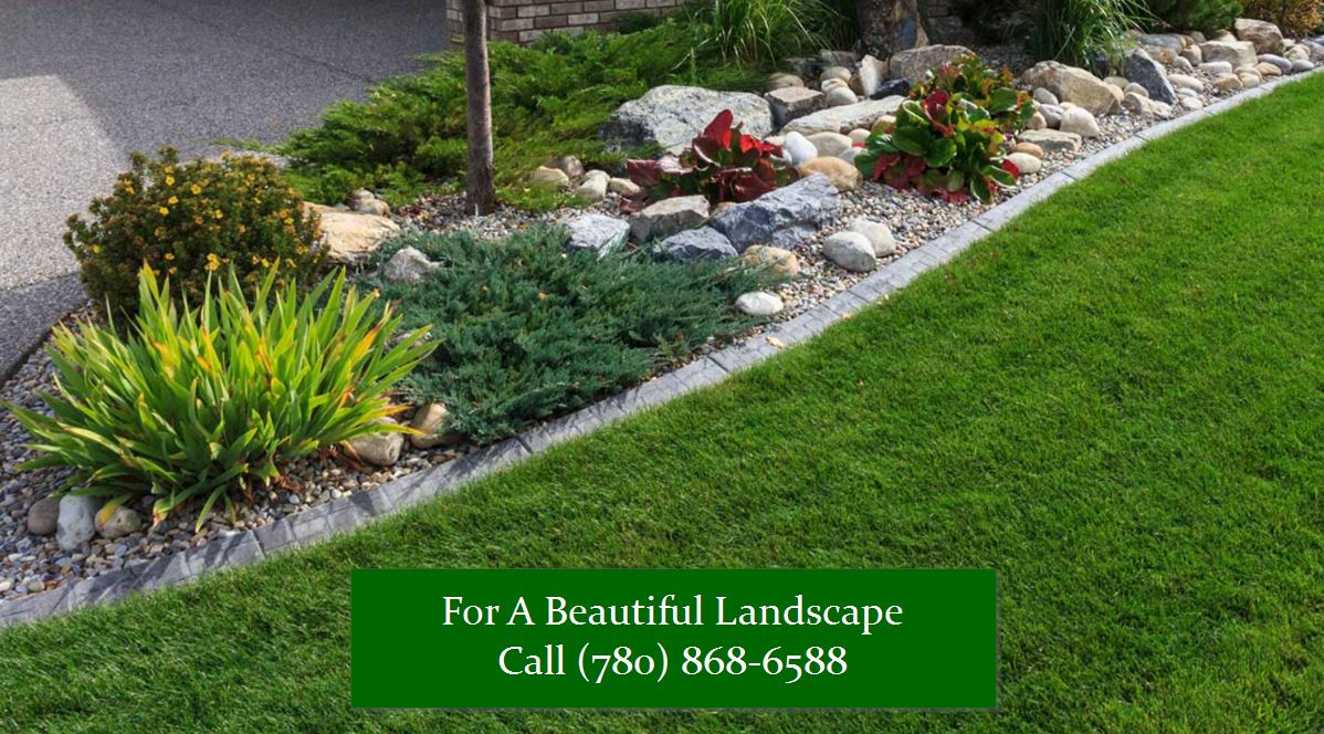 Garden Soil Testing and Maintenance